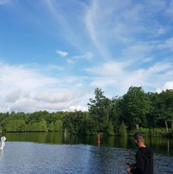 Meet your Posher, Seni - Picture 1 of 1